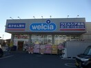ウエルシア薬局(ドラッグストア)まで150m アム－ル参番館