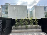 La via belle　成城
