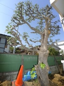 その他 ラ・ベル・メール宮本