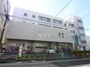 駒沢病院(病院)まで600m ビューハイツ東雲