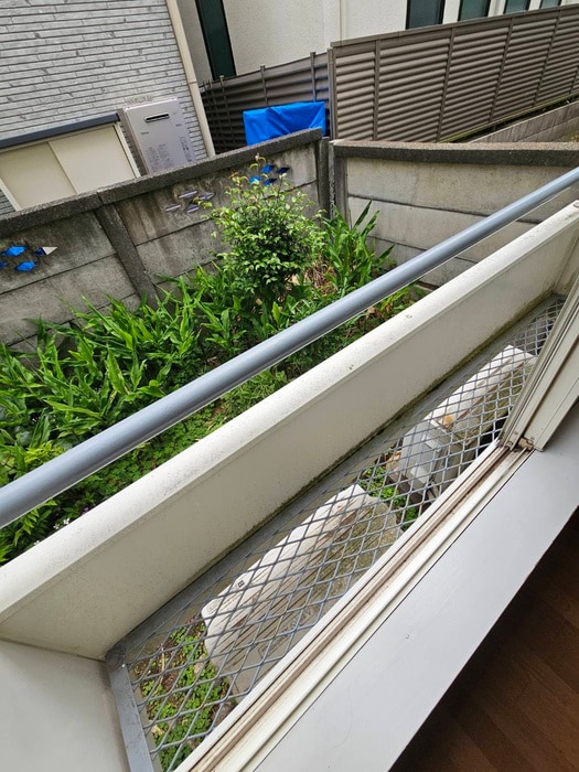 靴箱 メゾンソレイユ井草