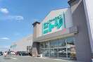ニトリ新座店(電気量販店/ホームセンター)まで650m セフィラ野火止Ｂ棟