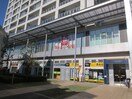 東急ストア 向ヶ丘遊園店(スーパー)まで157m WAGO BLDG