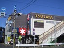 TSUTAYA(ビデオ/DVD)まで550m プランド－ル観音