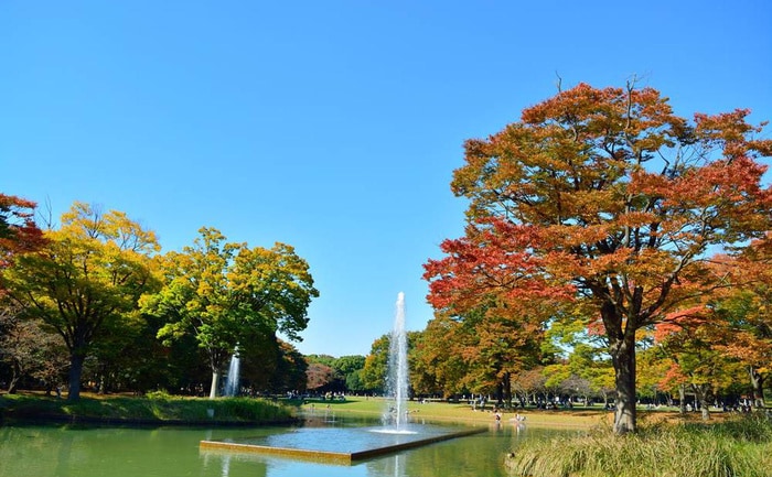 代々木公園(公園)まで900m NOX