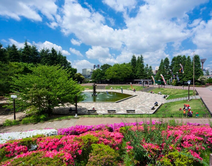 世田谷公園(公園)まで800m ハイツヤナギ