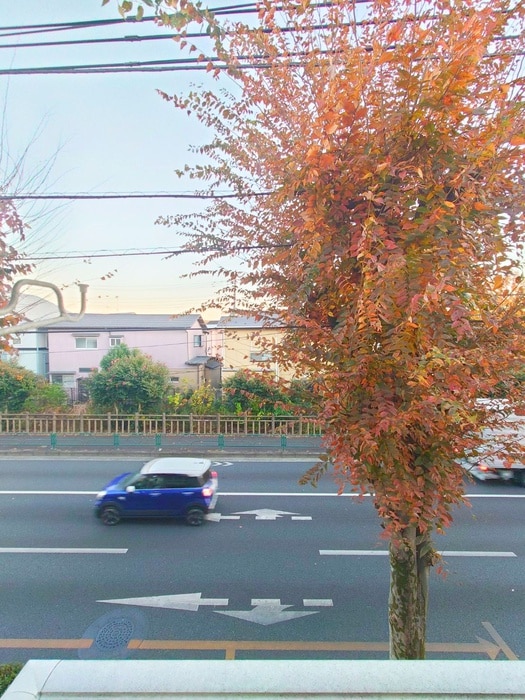 室内からの展望 ハピネス清瀬