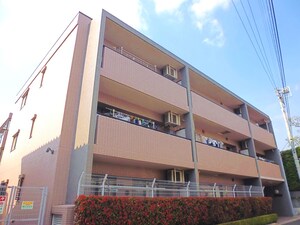 ステラ丸嶋