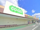 コープ(スーパー)まで600m ドエル高津