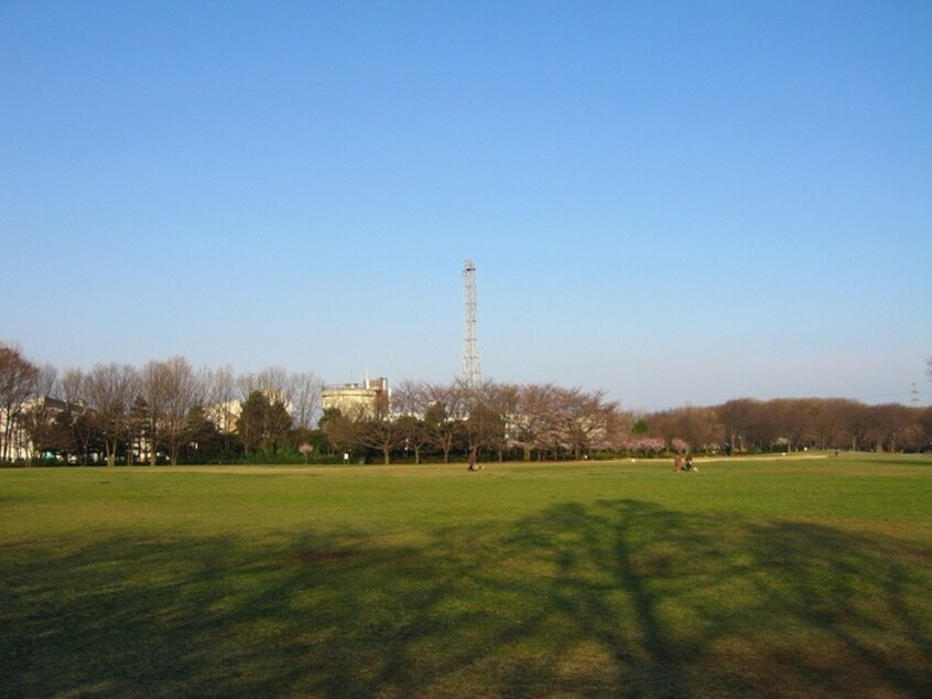 東村山中央公園(公園)まで760m フォーラム八坂