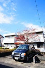 サンガーデン中央