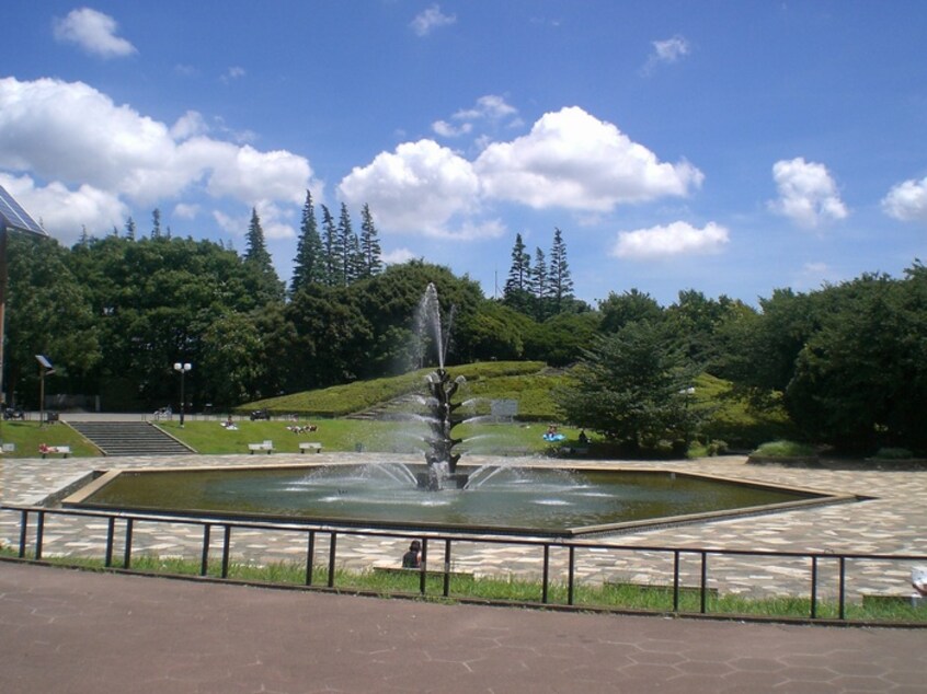 世田谷公園(公園)まで729m サンパレス世田谷