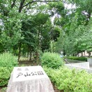 戸山公園(公園)まで486m ム－ブメンツ西早稲田