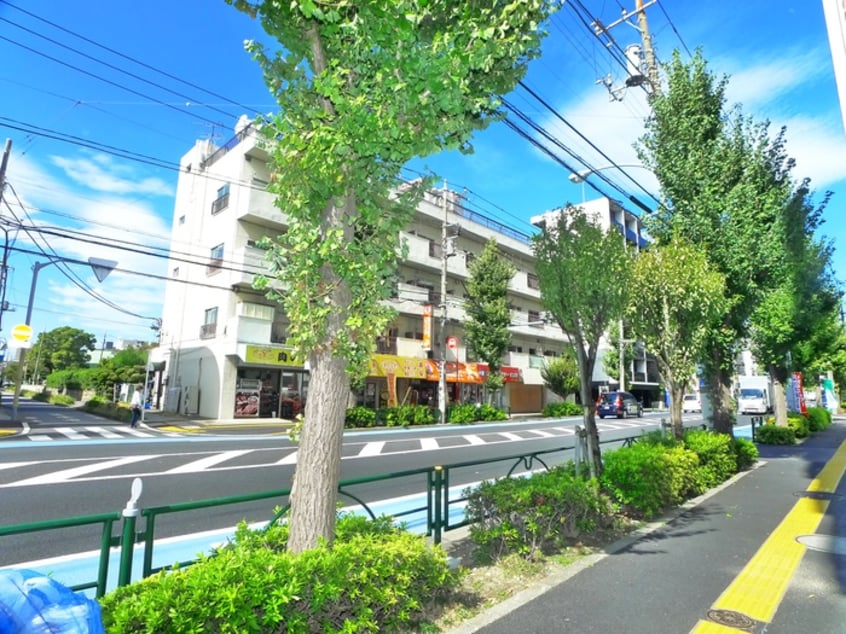 周辺環境 トライアングル綾瀬