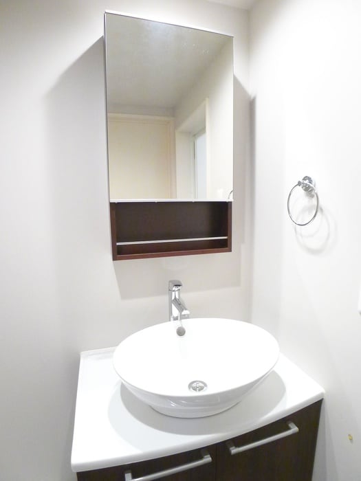 洗面 ヒルハイツ上本郷