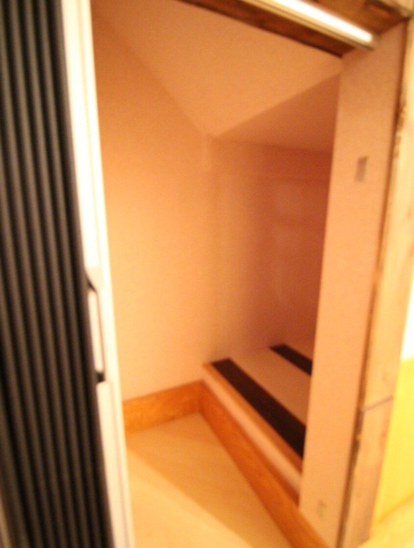 収納 ﾀﾞｲﾕｰ３８番館