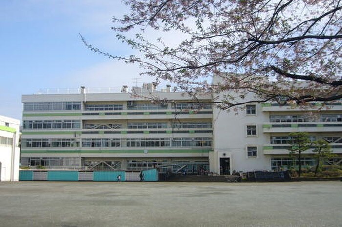 国分寺市立第七小学校(小学校)まで270m コスモリード国分寺