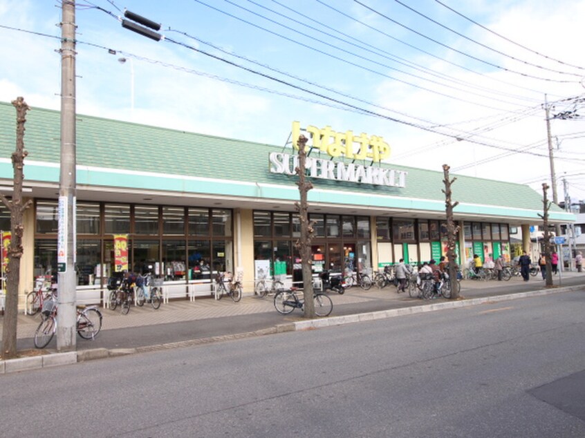 いなげや川越新河岸店(スーパー)まで500m 仮）砂新田新築AP　Ⅱ