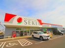ドラッグストア セキ 新河岸店(ドラッグストア)まで550m 仮）砂新田新築AP　Ⅱ