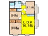 ブエナヴィスタ(301) 2LDK+Sの間取り