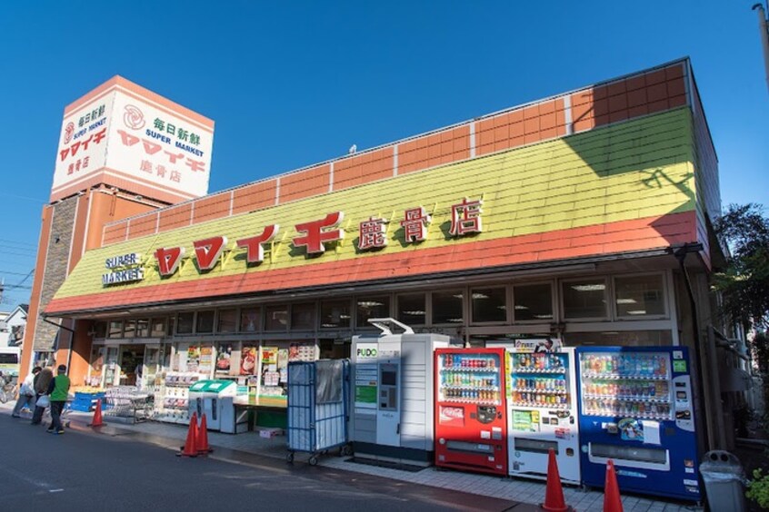 ヤマイチ　鹿骨店(スーパー)まで1100m フローラ