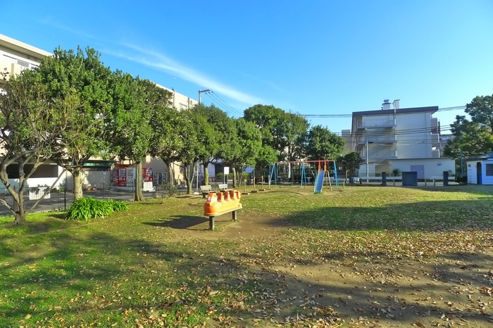 中江川添公園(公園)まで230m ソルクレスト