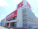 ケーズデンキ(電気量販店/ホームセンター)まで1400m リブリ・ハートポート