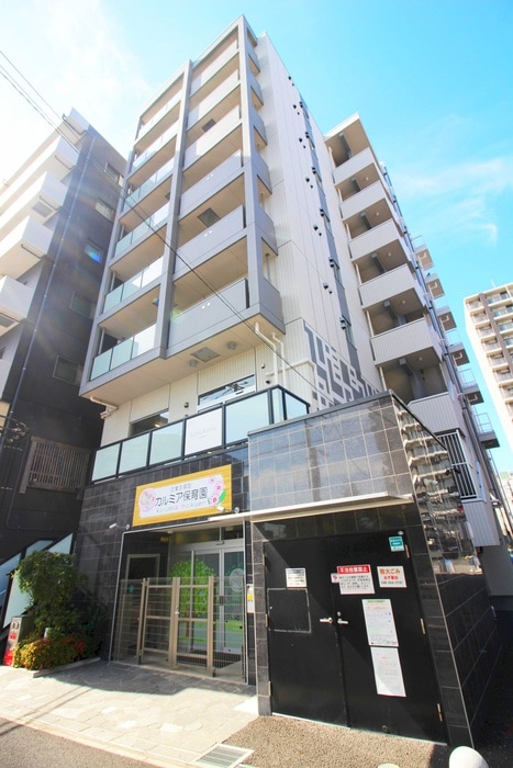 外観写真 ステーラ　ボヌール