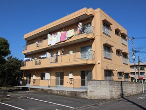 ガ－デンハイム綱島