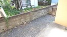 室内からの展望 コーポマルワ
