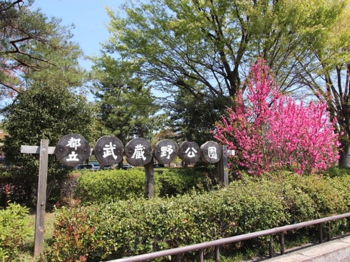 武蔵野公園(公園)まで800m フローレンス・Ｋ