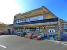 ワイズマート(スーパー)まで828m テラスレジデンス船橋夏見