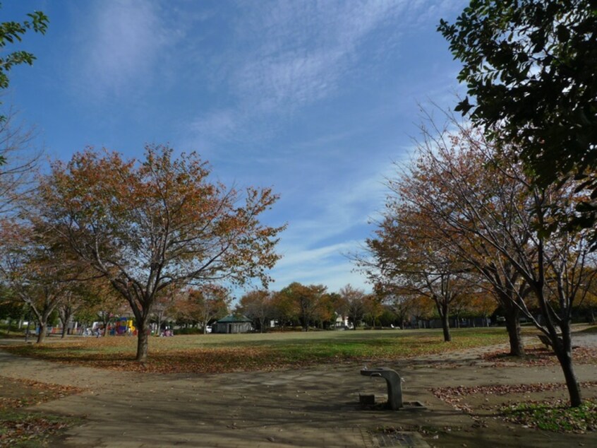 勝瀬原記念公園(公園)まで280m パルティールふじみ野