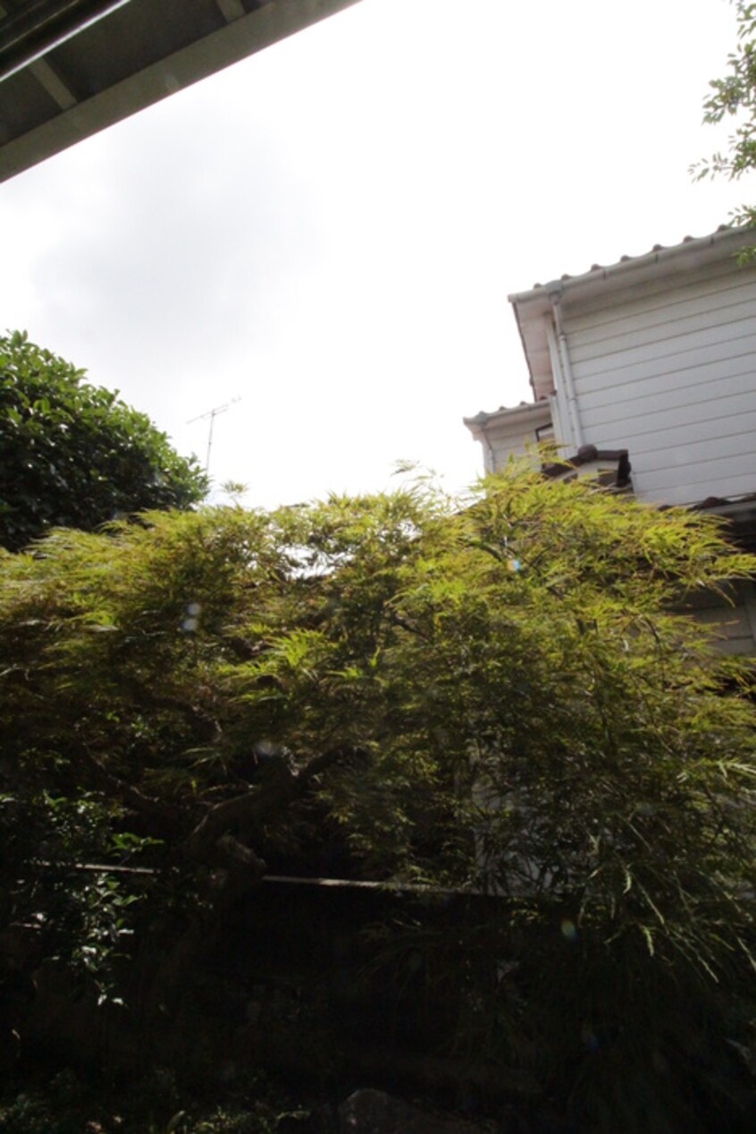 室内からの展望 サンラピス壱番館