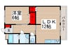 コ－ポ新井 1LDKの間取り
