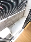 ベランダ・バルコニー アピアファ－スト