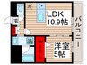 エルフォルテ東京EAST 1LDKの間取り