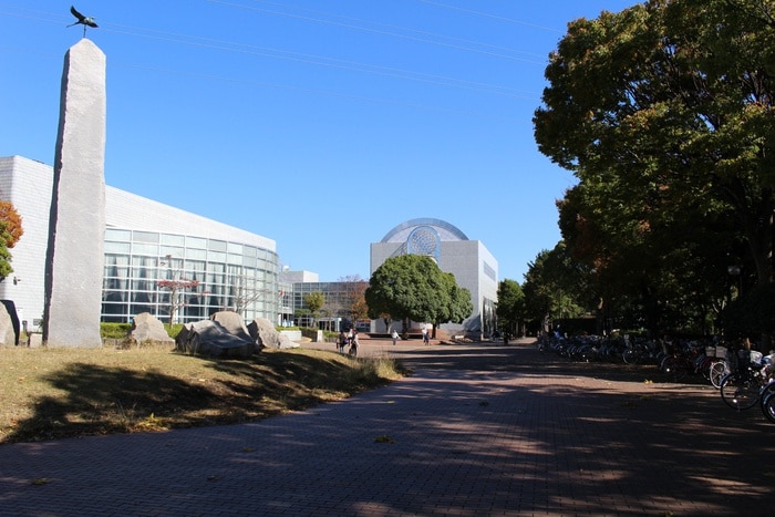 平塚総合公園(公園)まで1259m ラ・ミア・カーサ