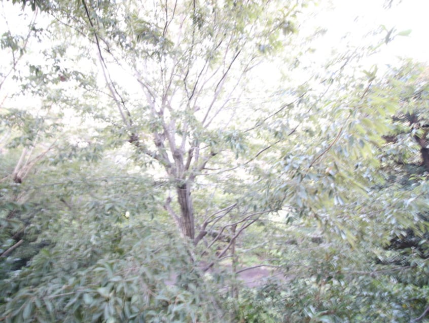 室内からの展望 天貝第２コ－ポ