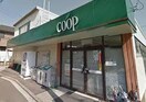 ユーコープ 白幡店(スーパー)まで534m ＵＥＳハイム