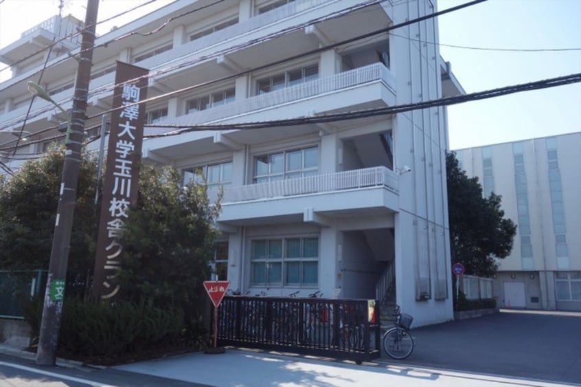 駒沢大学玉川校舎(大学/短大/専門学校)まで578m リュミエール