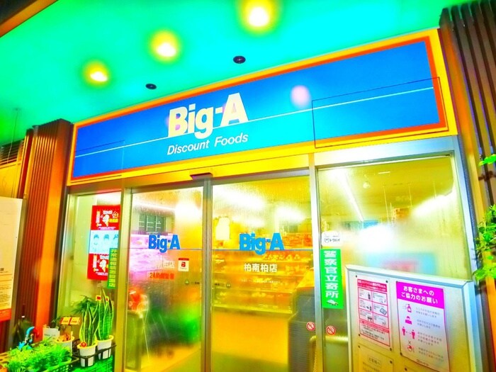 Ｂｉｇ－Ａ(スーパー)まで870m サンピア南柏