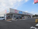ウエルシア(ドラッグストア)まで769m Lien