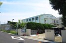 世田谷区立砧南中学校(中学校/中等教育学校)まで310m ネイチャータウン