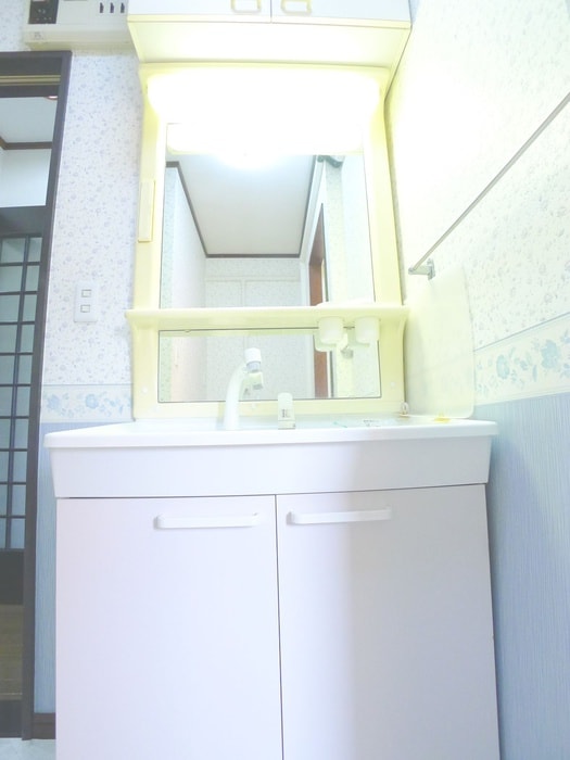 洗面 ユーカリビル