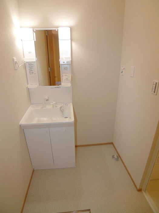 洗面 セルシディ