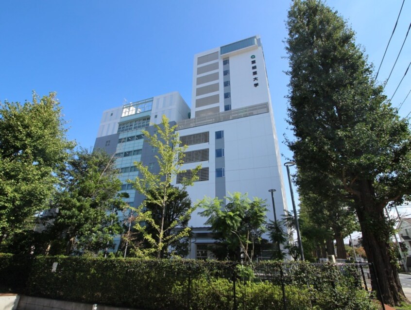 亜細亜大学(大学/短大/専門学校)まで850m ハイツ境