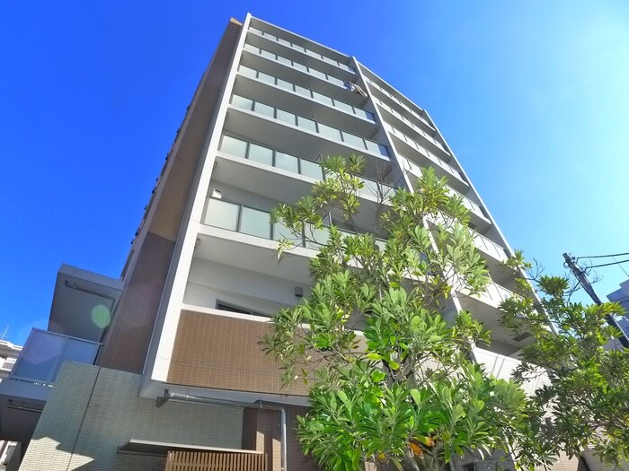 その他 グレイス綾瀬