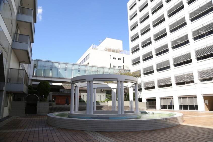 東京女子医科大学(大学/短大/専門学校)まで709m GRAN　PASEO市谷甲良町