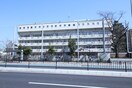 窪町小学校(小学校)まで583m ロ－レル小石川